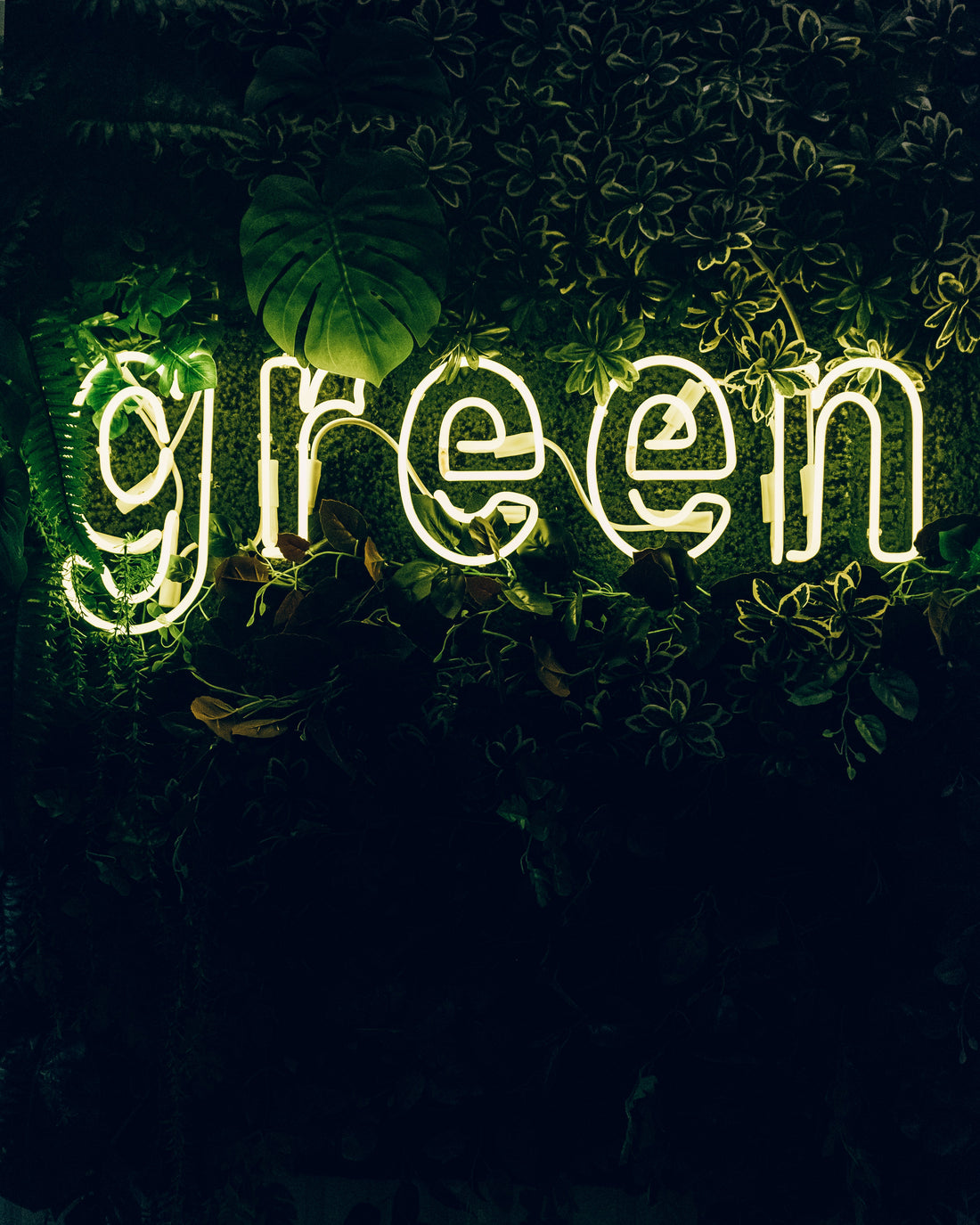 Sustainability in all ways
